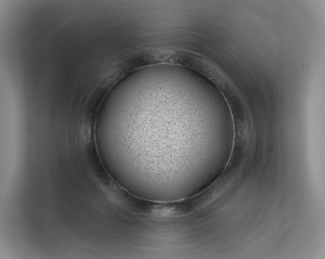 X0000113320602200909281209