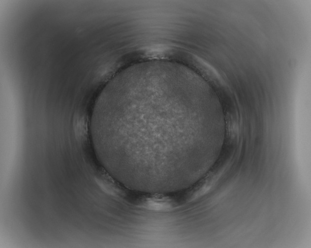 X0000113320603200909281209