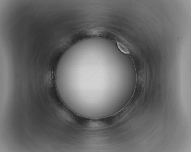 X0000113320605200909281209