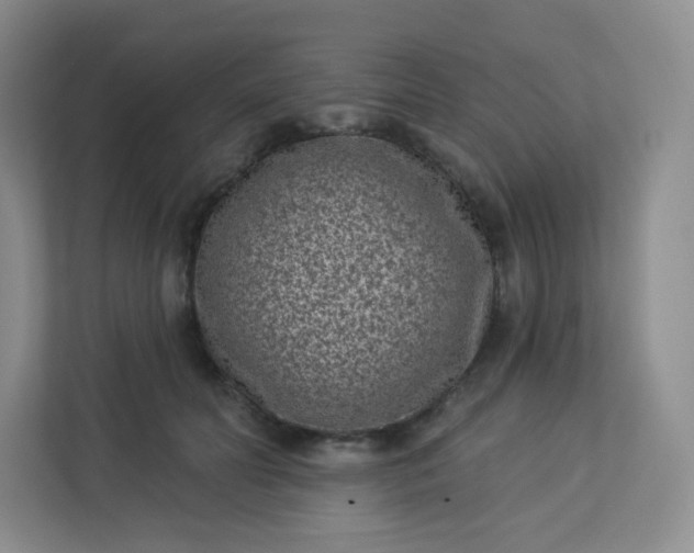 X0000113320606200909281209