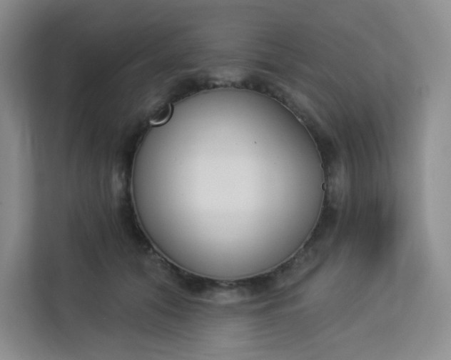 X0000113320608200909281209