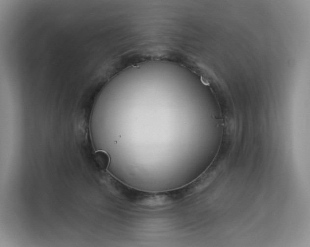 X0000113320609200909281209