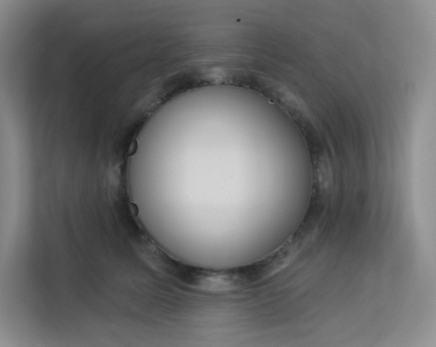 X0000113320611200909281209