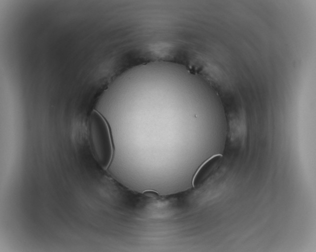 X0000113320613200909281209