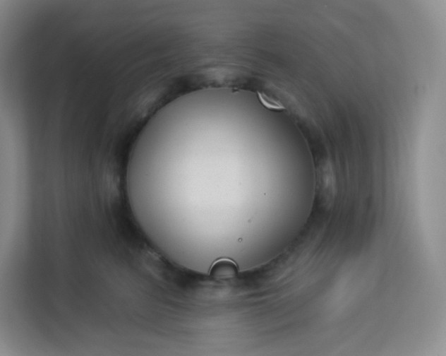 X0000113320615200909281209