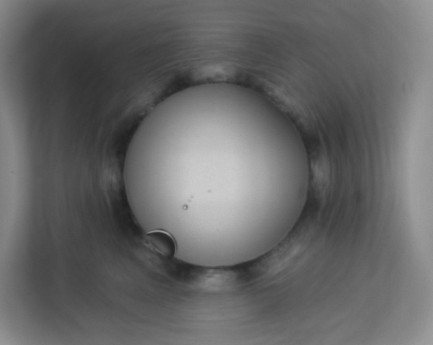 X0000113320617200909281209