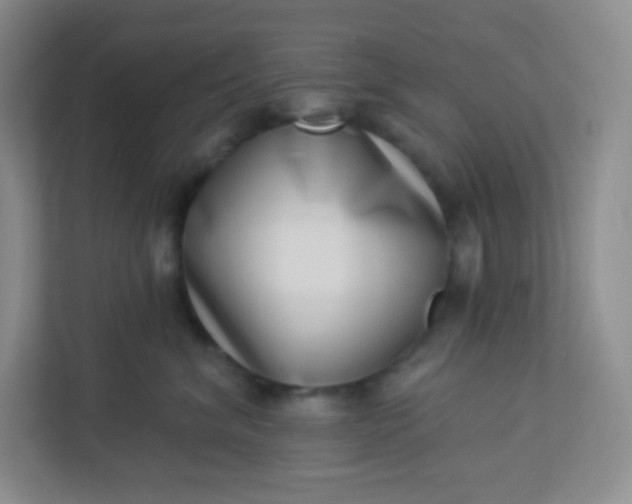 X0000113320620200909281209