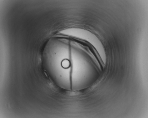 X0000113320621200909281209