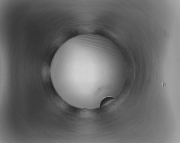 X0000113320624200909281209