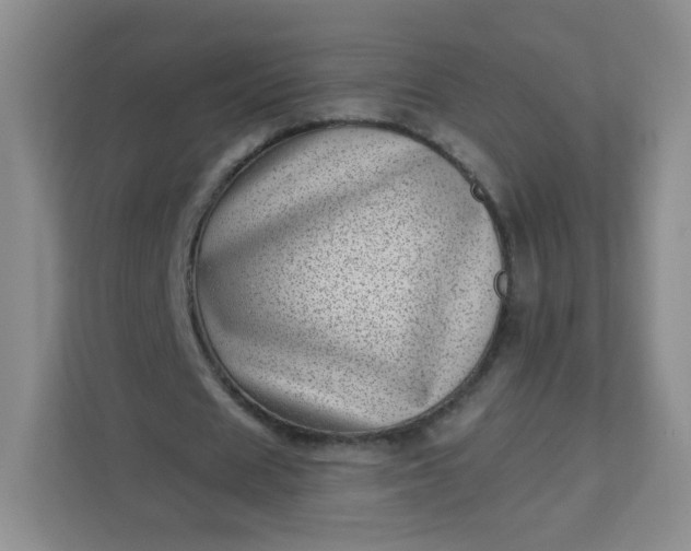 X0000113320625200909281208