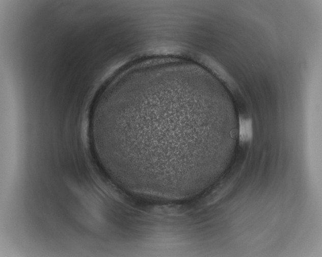 X0000113320627200909281208