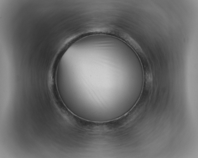 X0000113320628200909281208