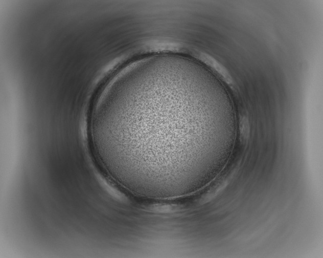 X0000113320629200909281208