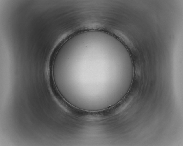 X0000113320630200909281208