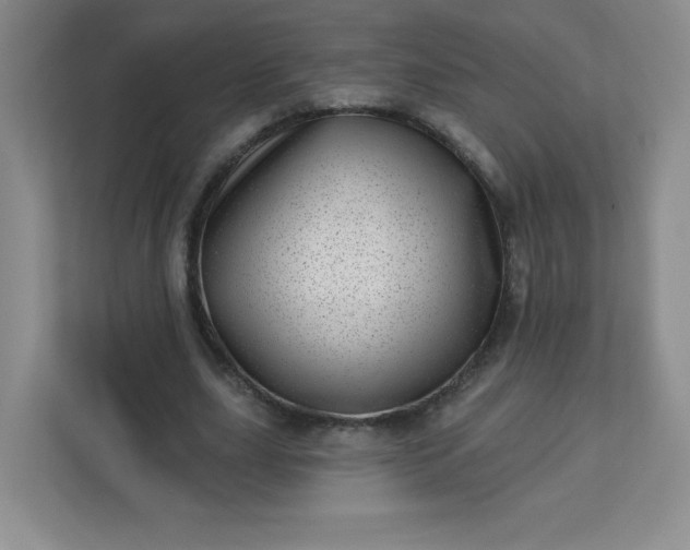 X0000113320631200909281208