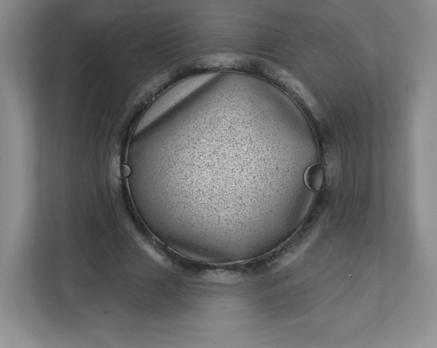 X0000113320633200909281208