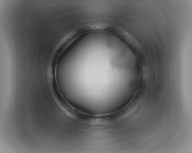 X0000113320634200909281208