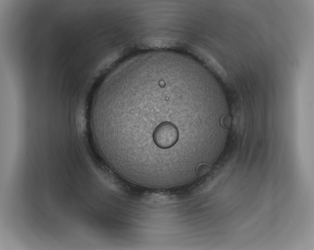 X0000113320635200909281208