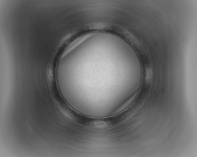 X0000113320636200909281208