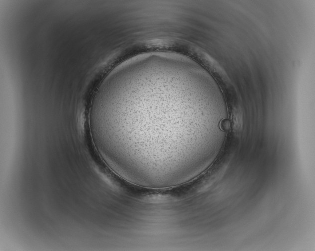 X0000113320637200909281208