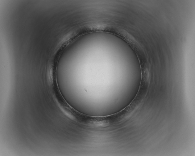 X0000113320638200909281208