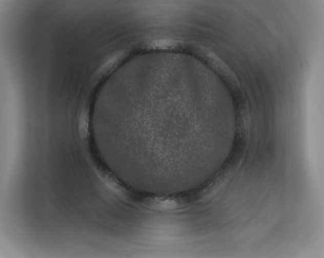 X0000113320640200909281208