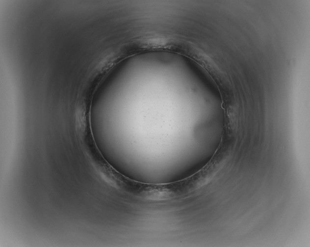 X0000113320642200909281208