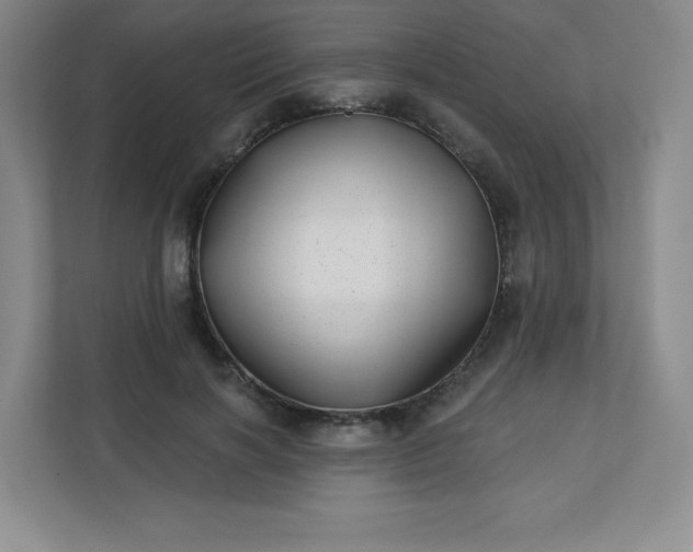 X0000113320646200909281208