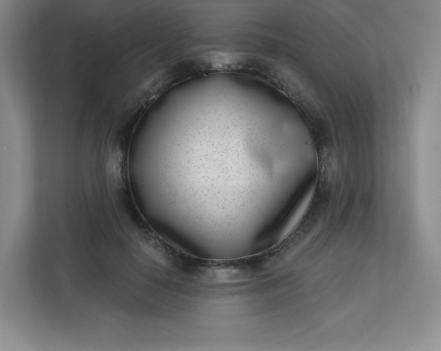 X0000113320650200909281208