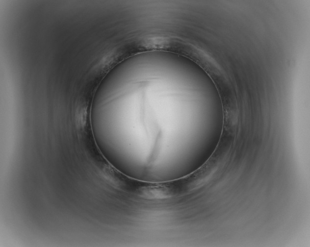 X0000113320652200909281208