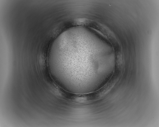 X0000113320653200909281208