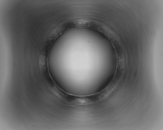 X0000113320654200909281208