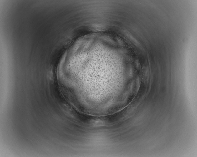 X0000113320655200909281208