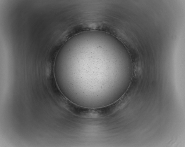 X0000113320656200909281208