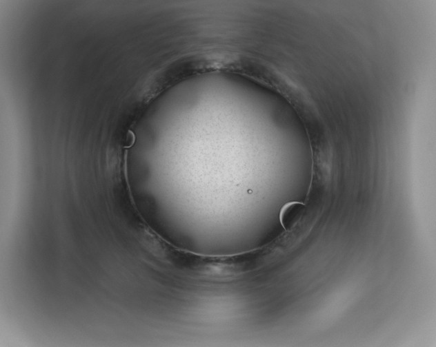 X0000113320657200909281208