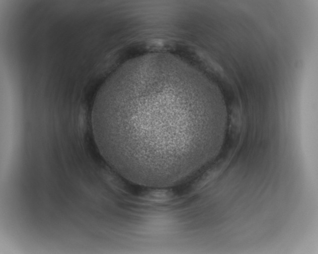 X0000113320659200909281208