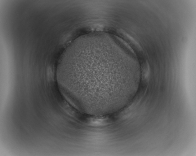 X0000113320661200909281208