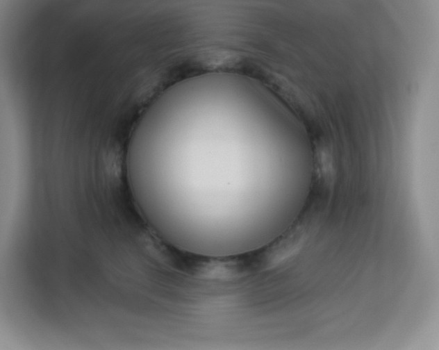 X0000113320664200909281208