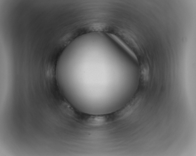 X0000113320665200909281208