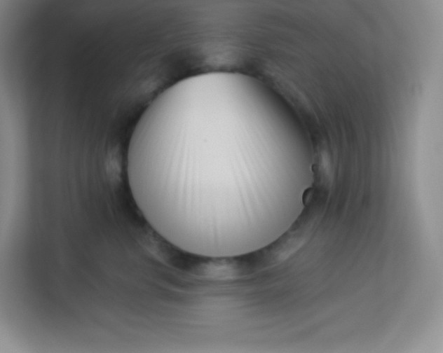 X0000113320668200909281209