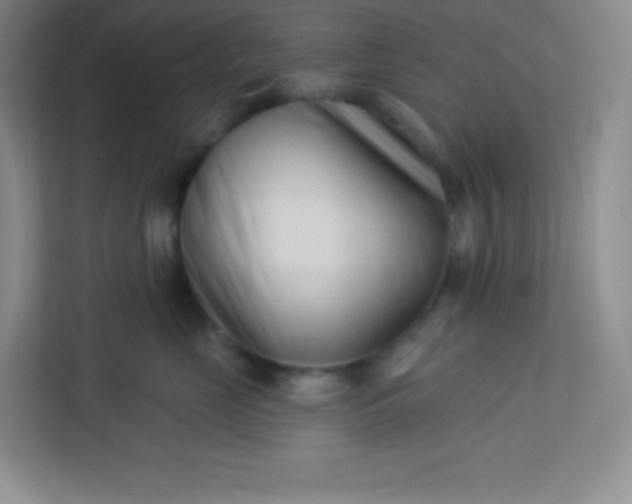 X0000113320669200909281209