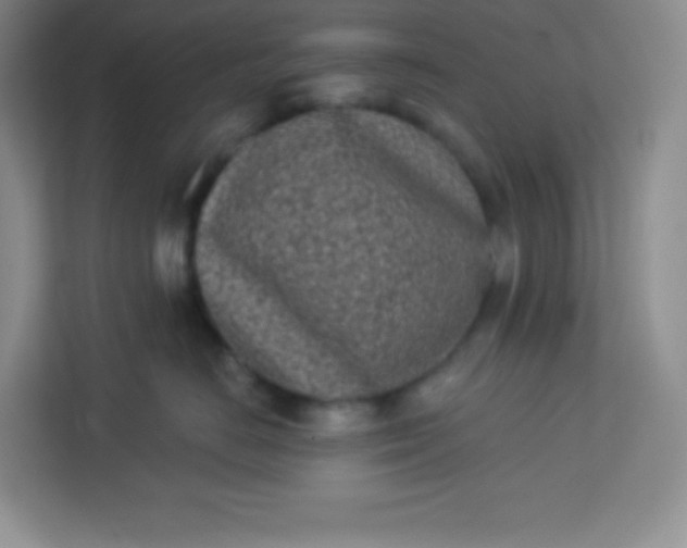 X0000113320670200909281209