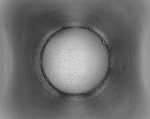 X0000113320673200909281208