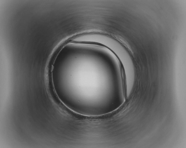 X0000113320676200909281208