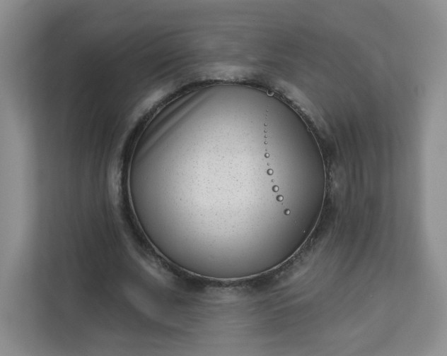 X0000113320679200909281208