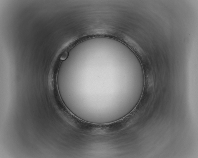 X0000113320680200909281208