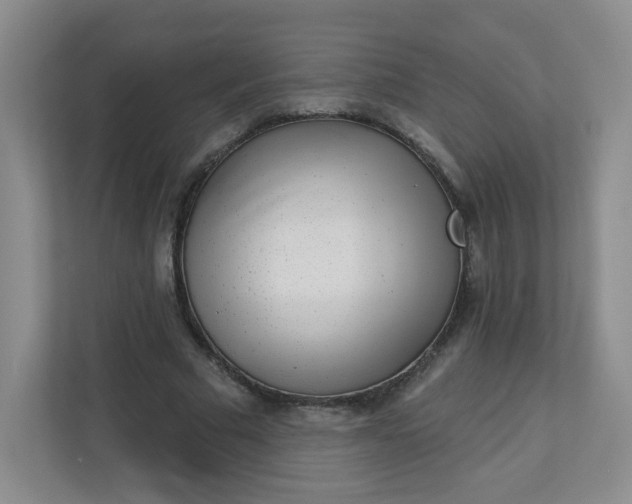 X0000113320681200909281208