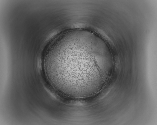 X0000113320683200909281208