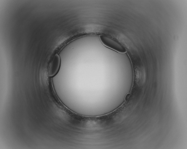 X0000113320684200909281208