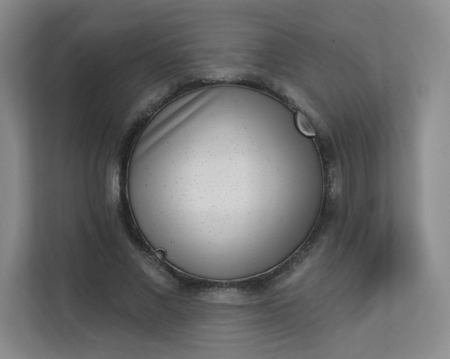 X0000113320685200909281208